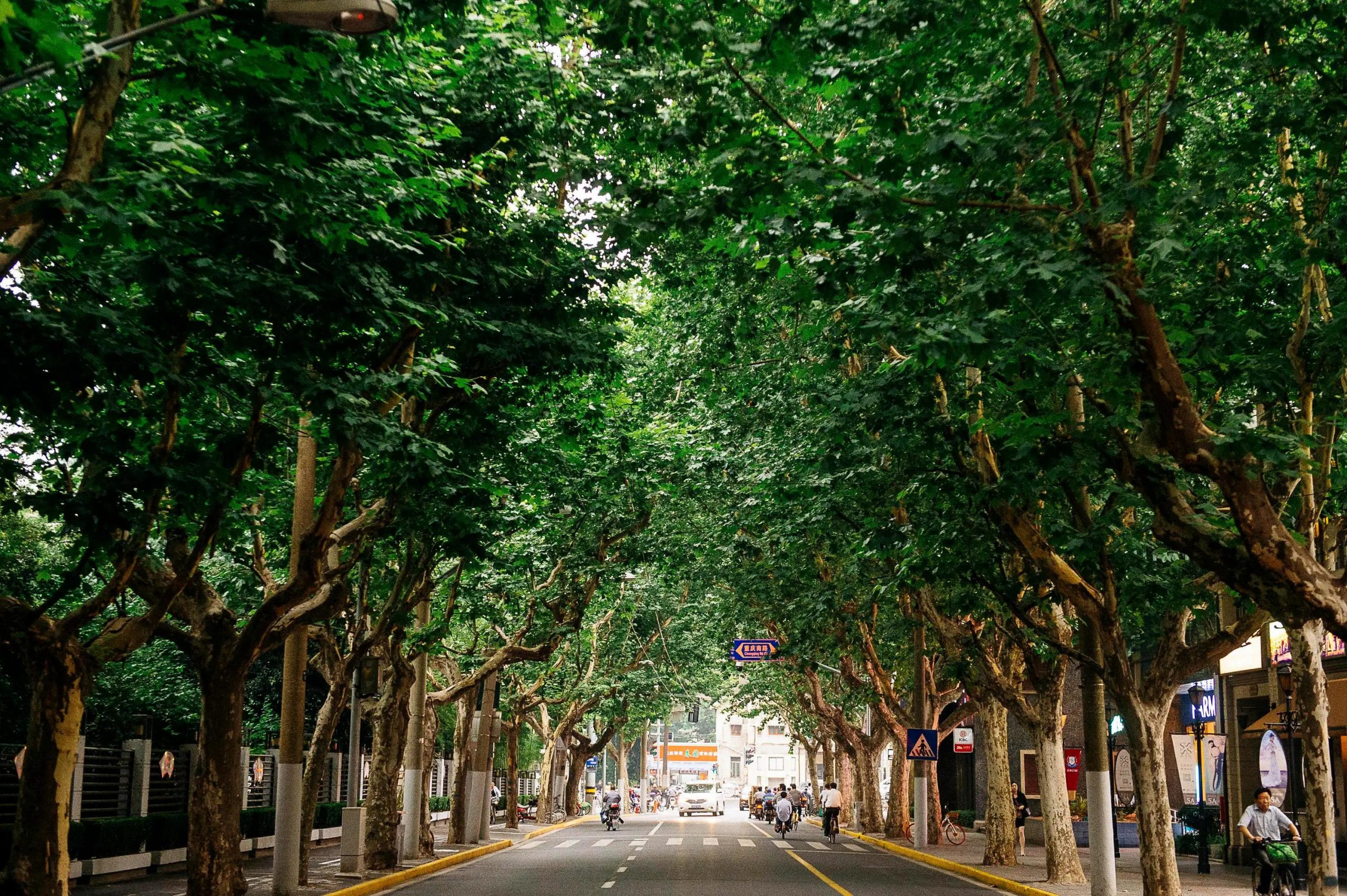 天游线路登录检测中心·(中国区) - 首页