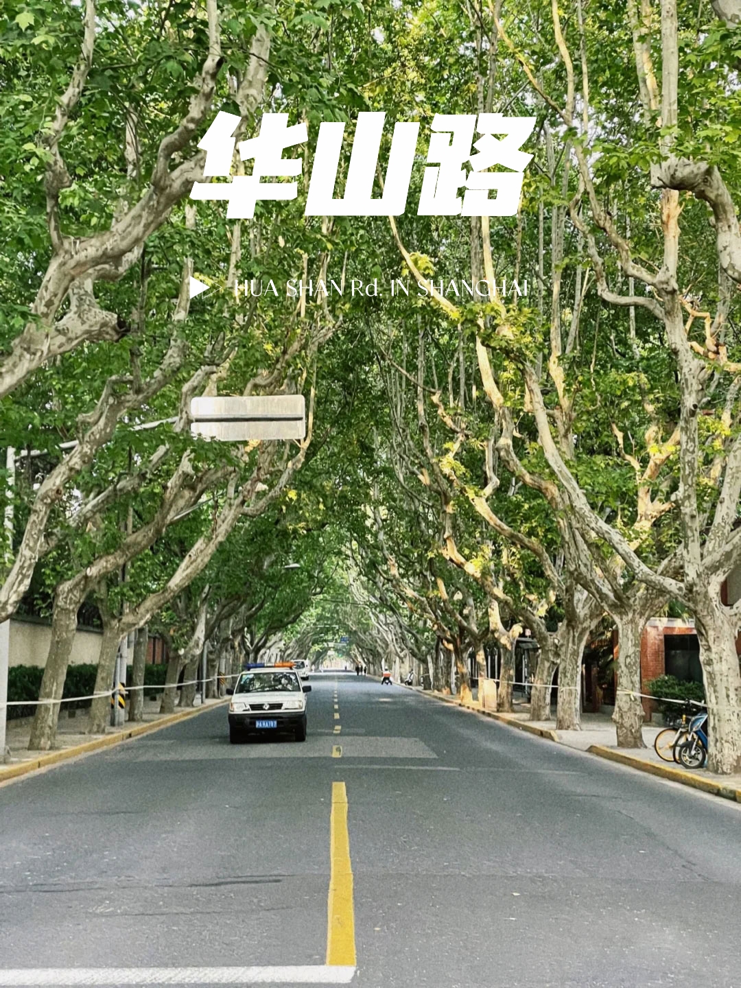 天游线路登录检测中心·(中国区) - 首页